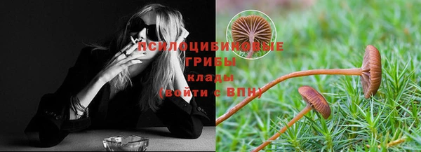 шишки Алексин