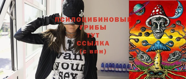 шишки Алексин