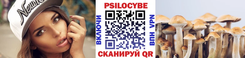 Галлюциногенные грибы Psilocybe  продажа наркотиков  Николаевск-на-Амуре 