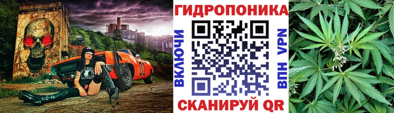 Марихуана план  купить  сайты  Николаевск-на-Амуре 